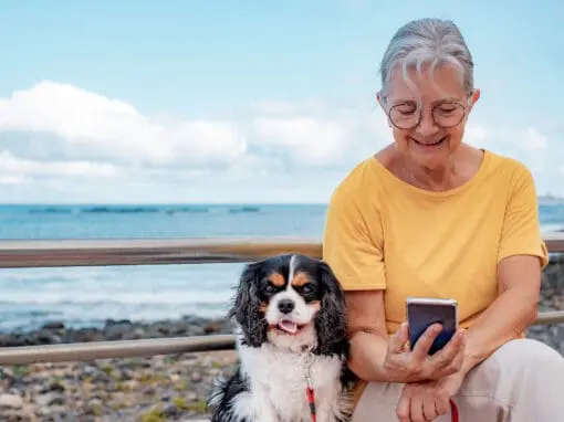 Best Dogs for Seniors: Finding the Perfect Breed for Every Lifestyle