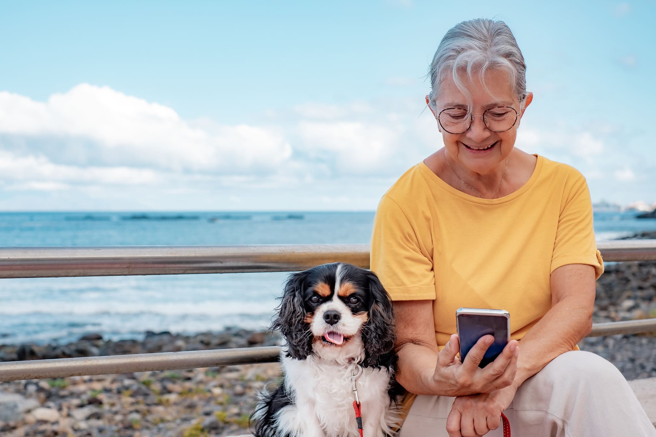 Old senior woman in yellow jersey sitting close to the beach with her cavalier king charles dog looking at smartphone.